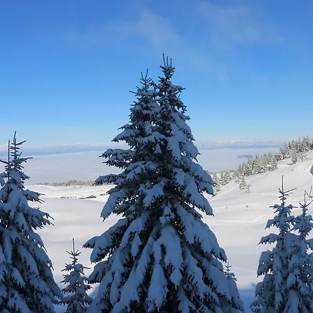 Vigneronne 70m2 A 500m Du Lac 아파트 *